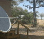 Natural History Film Unit Botswana – Capturing the essence of Botswana!