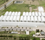 Transforming Farming with Satellite Connectivity and IoT
